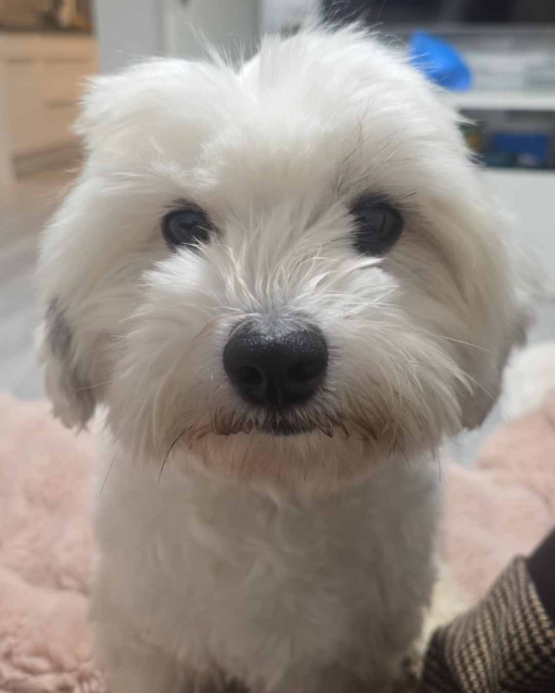 Bali – Feel Good Managerin